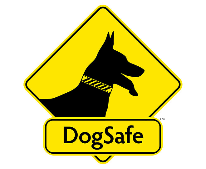 DogSafe-Diamond-Med-RGB